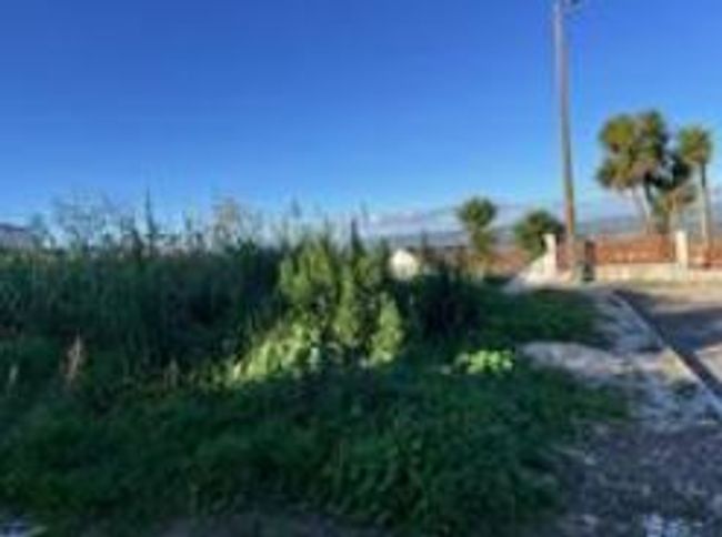 496a0b09-d0b2-46ec-9959-24cedbffef0f