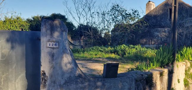 59b2e1af-4ff5-4b1e-9946-81c55591876b