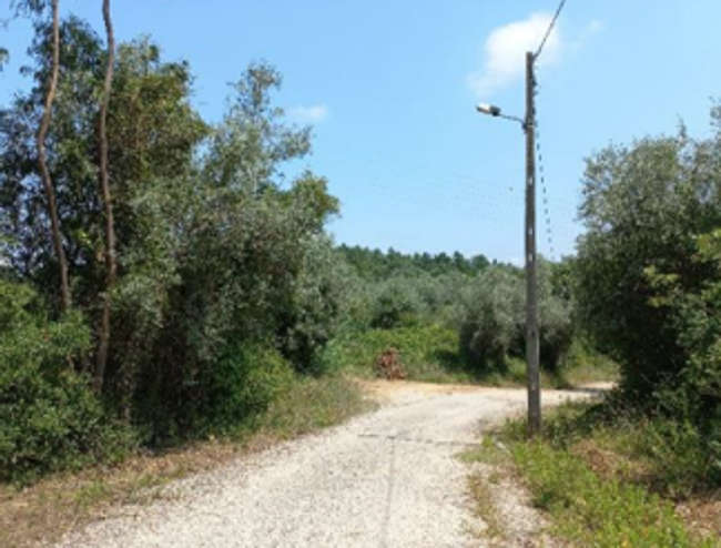 e2de9e80-2e84-4288-864f-3da43acc74b6